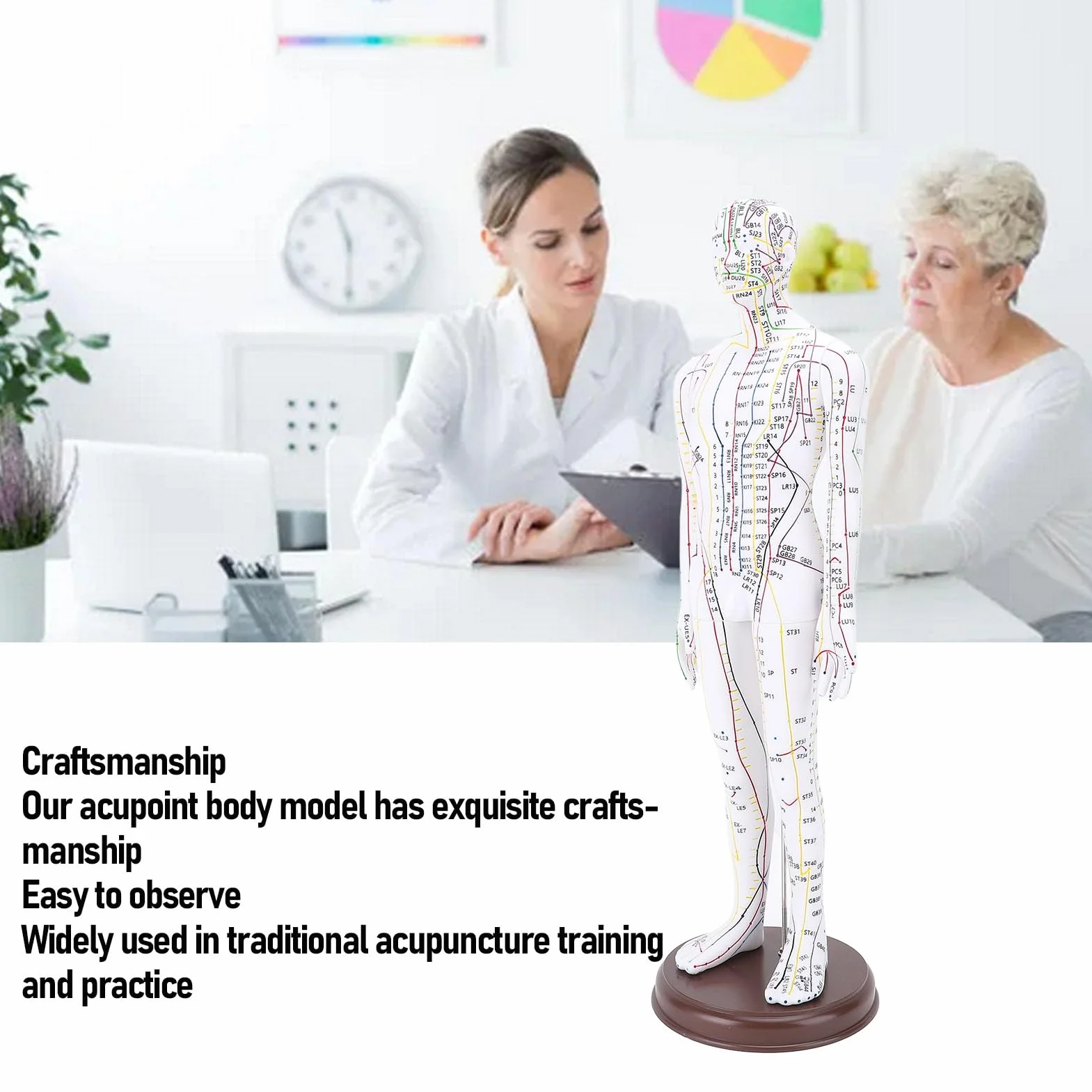 Acupuntura Doll, Modelo de Punto de Acupuntura Humana para Aprendizaje y Ejercicios, 52 Cm / 20.47in (Tipo de hombres)