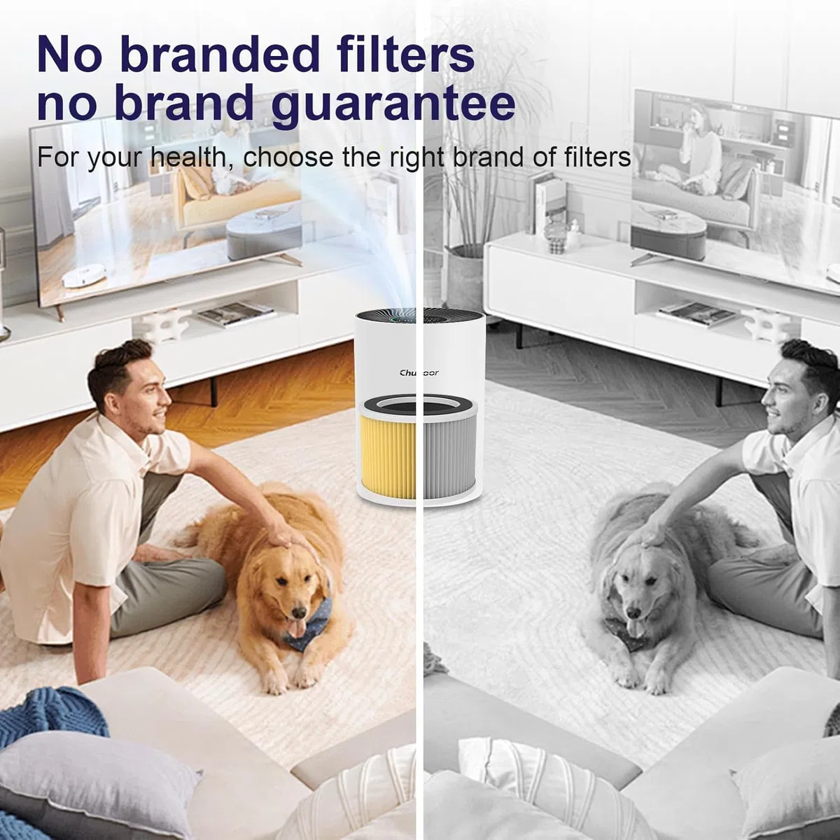 HEPA - Filtro de aire HEPA para purificador de aire Chuboor para alérgicos PJ01 y PJ08, filtro de aire HEPA contra moho, polvo y pelo de animales