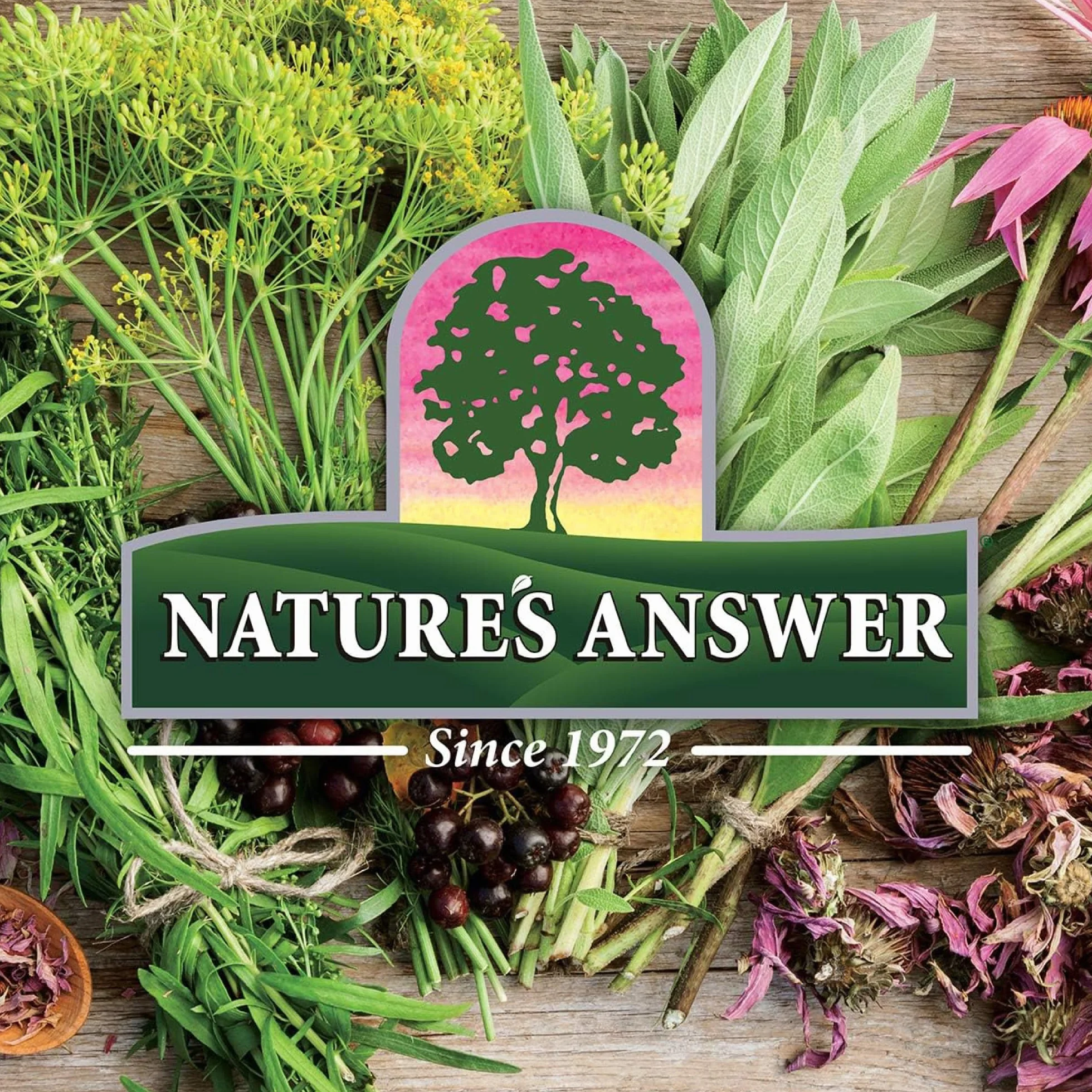 Nature's Answer, Dong Quai, 500mg, 90 Cápsulas veganas, Probado en Laboratorio, Sin Gluten, Sin Soja, Vegetariano, No GMO