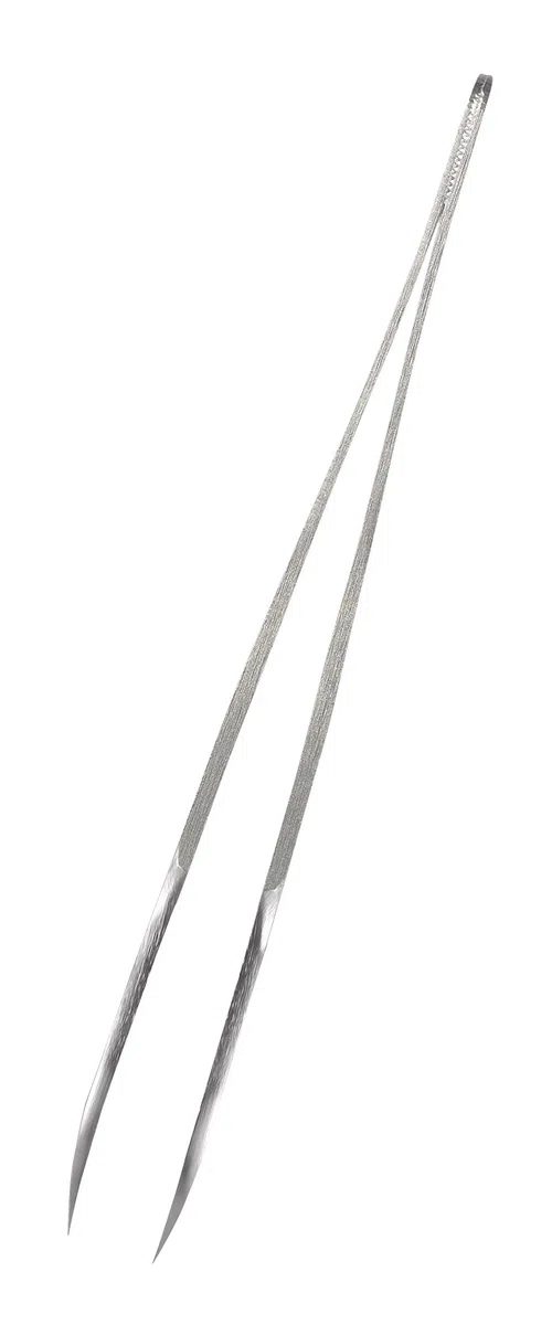 Rubis Pinzas garrapata