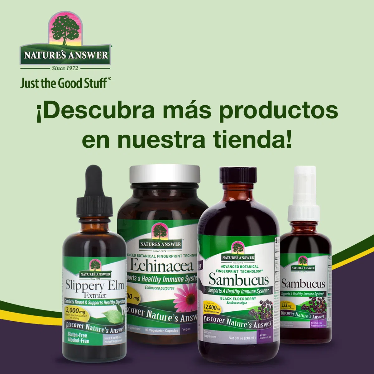 Nature's Answer, Dong Quai, 500mg, 90 Cápsulas veganas, Probado en Laboratorio, Sin Gluten, Sin Soja, Vegetariano, No GMO