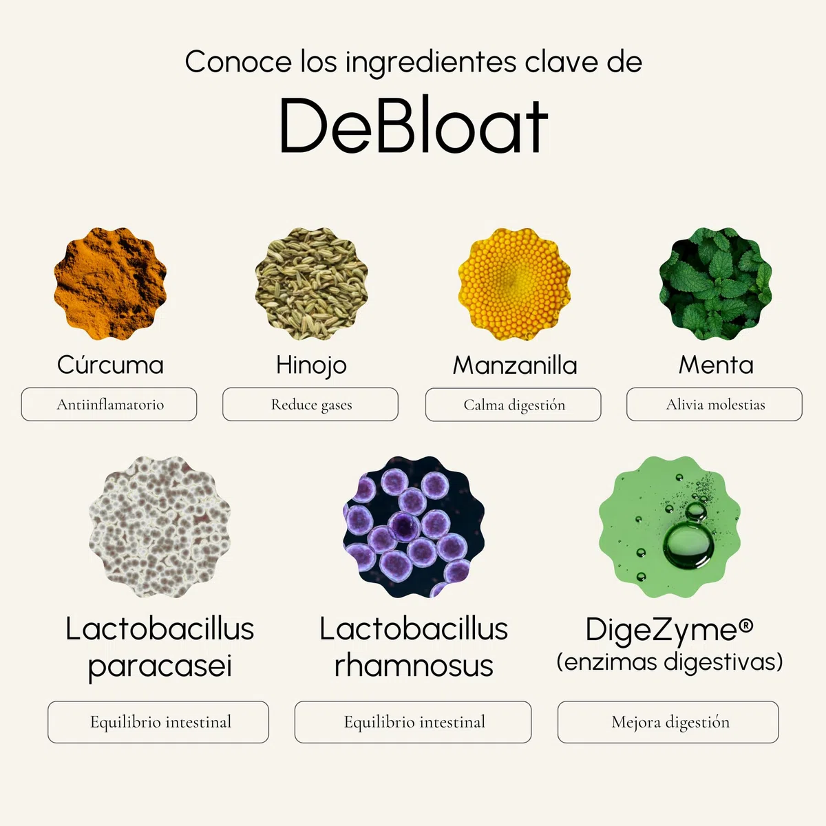 DeBloat - Digezyme Enzimas Digestivas con Probioticos Synbio Alivian Gases e Hinchazon Adultos y Mejoran la Digestion - Curcuma, Manzanilla, Menta e Hinojo - 30 Sobres