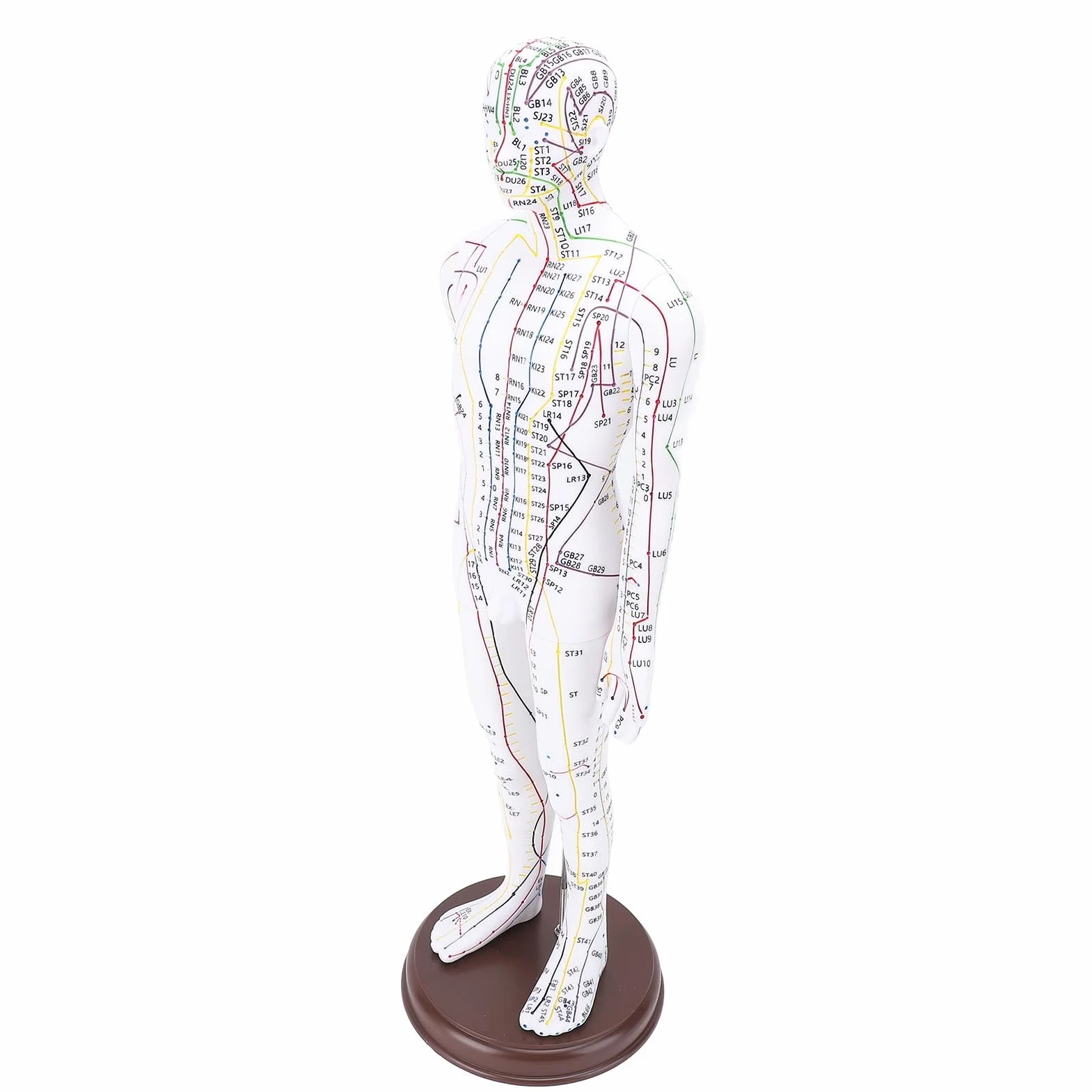 Acupuntura Doll, Modelo de Punto de Acupuntura Humana para Aprendizaje y Ejercicios, 52 Cm / 20.47in (Tipo de hombres)