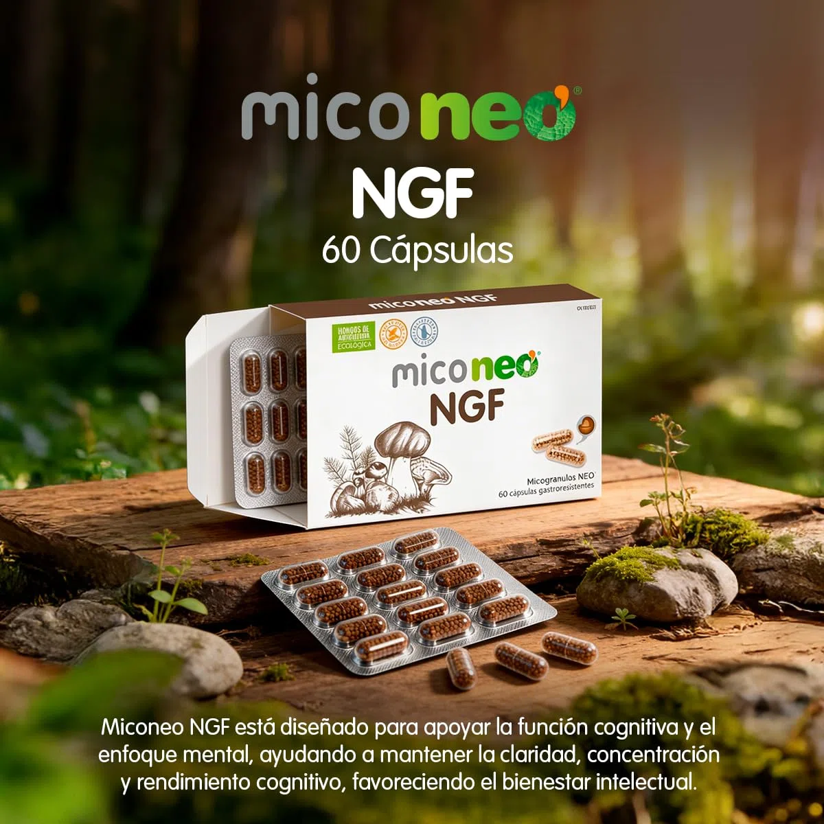 MICO NEO | NGF | 60 Cápsulas | Favorece el Rendimiento Cognitivo | Con Bacopa, Melena de león, Reishi, Cordyceps y Camu-Camu | Hongos de Agricultura Ecológica