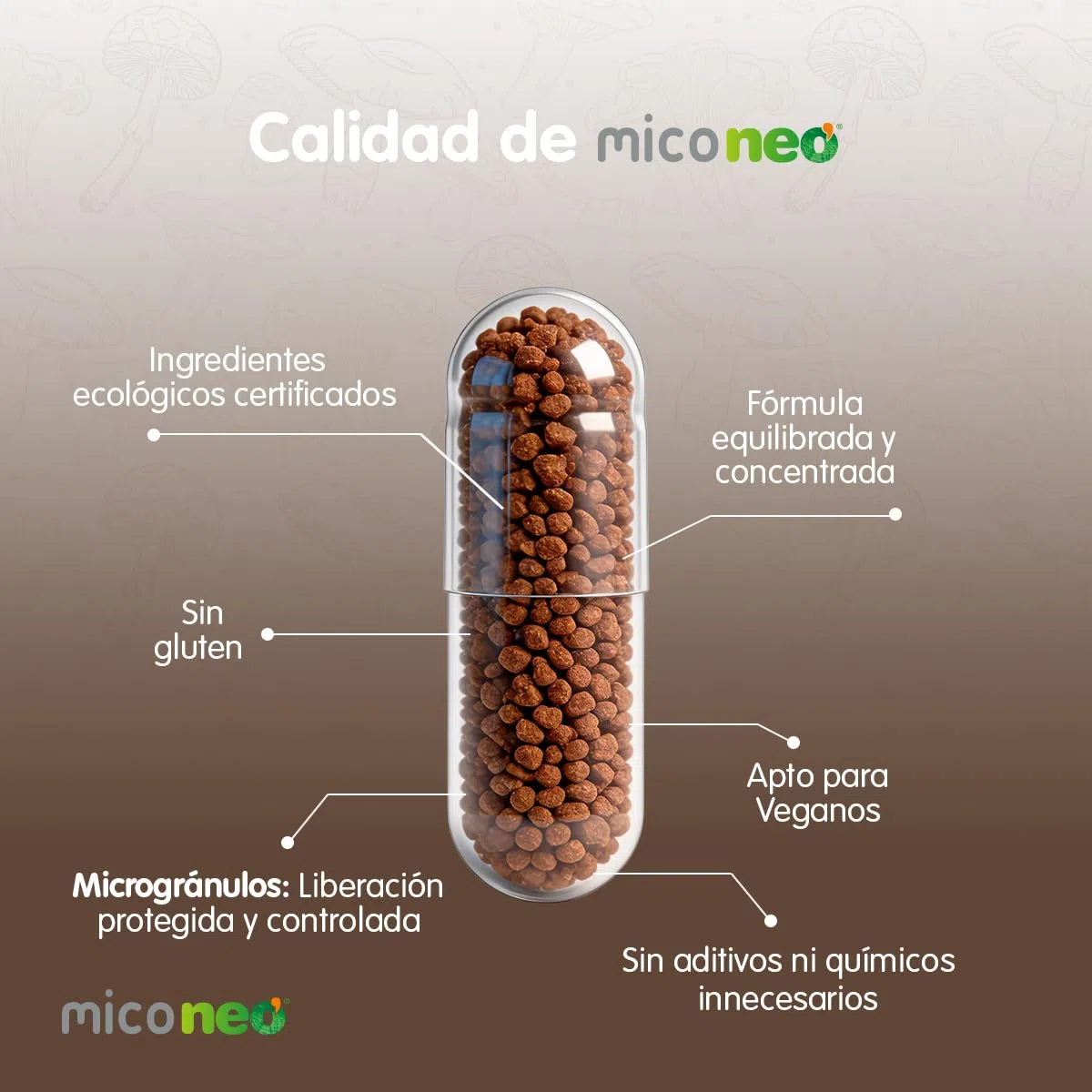 MICO NEO | NGF | 60 Cápsulas | Favorece el Rendimiento Cognitivo | Con Bacopa, Melena de león, Reishi, Cordyceps y Camu-Camu | Hongos de Agricultura Ecológica
