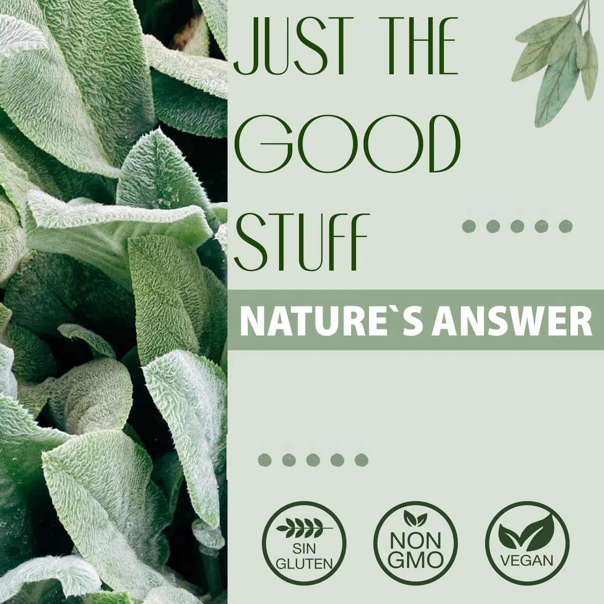 Nature's Answer, Dong Quai, 500mg, 90 Cápsulas veganas, Probado en Laboratorio, Sin Gluten, Sin Soja, Vegetariano, No GMO